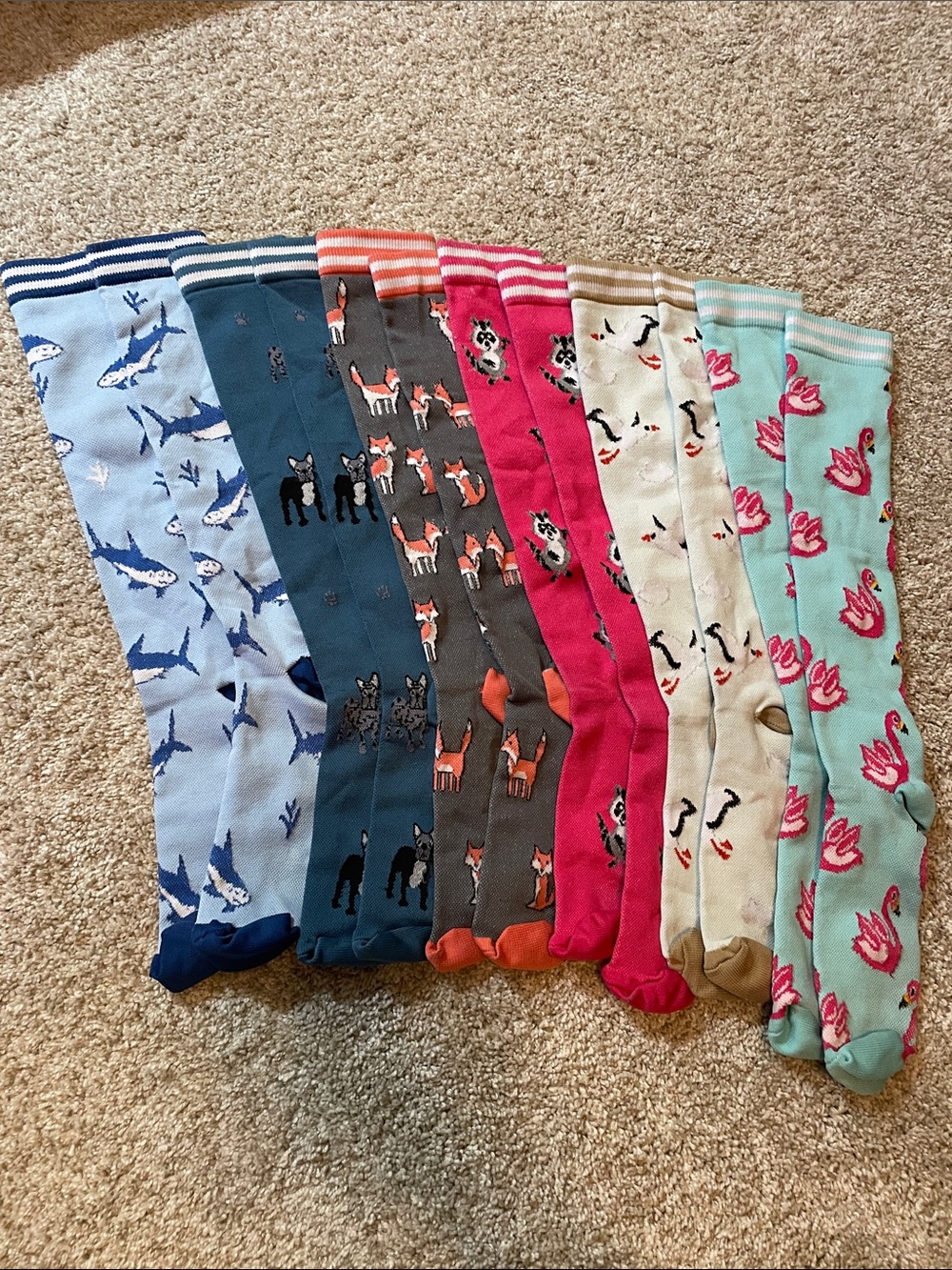 6 Pairs of Compression Socks